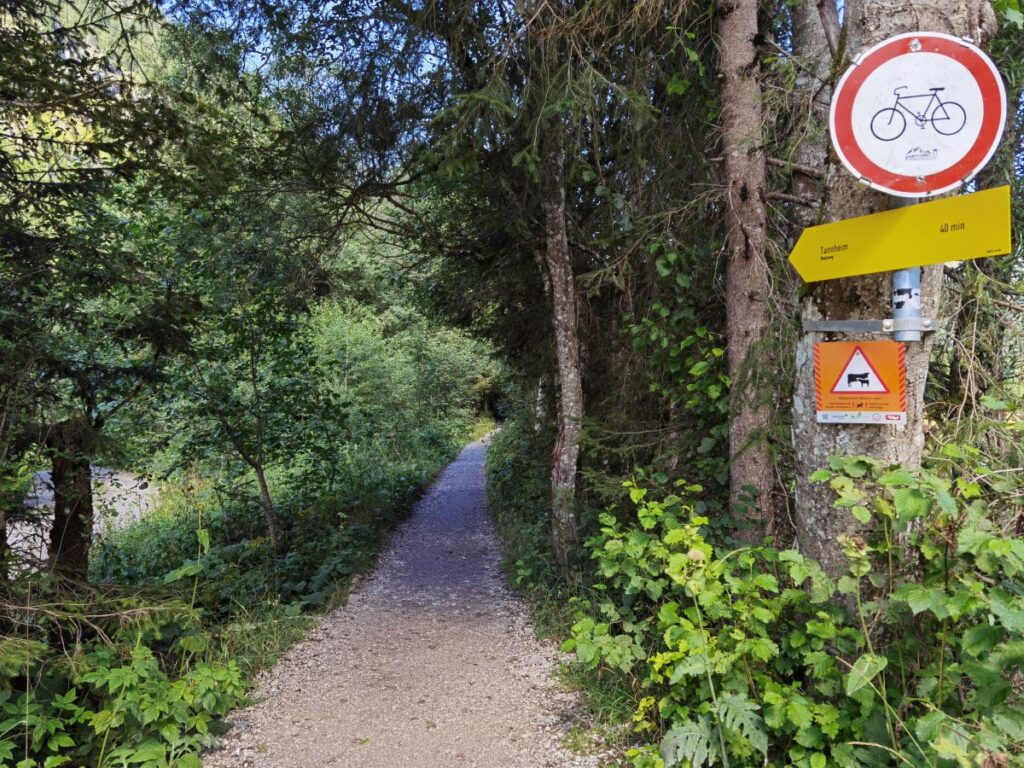 Vilsalpsee Wanderung - entland des sogennanten Waldwegs