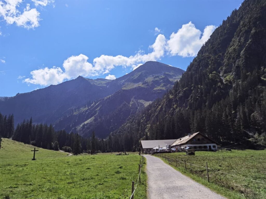 Zum Vilsalpsee Wasserfall wandern - über die Almwiese der Vilsalpe